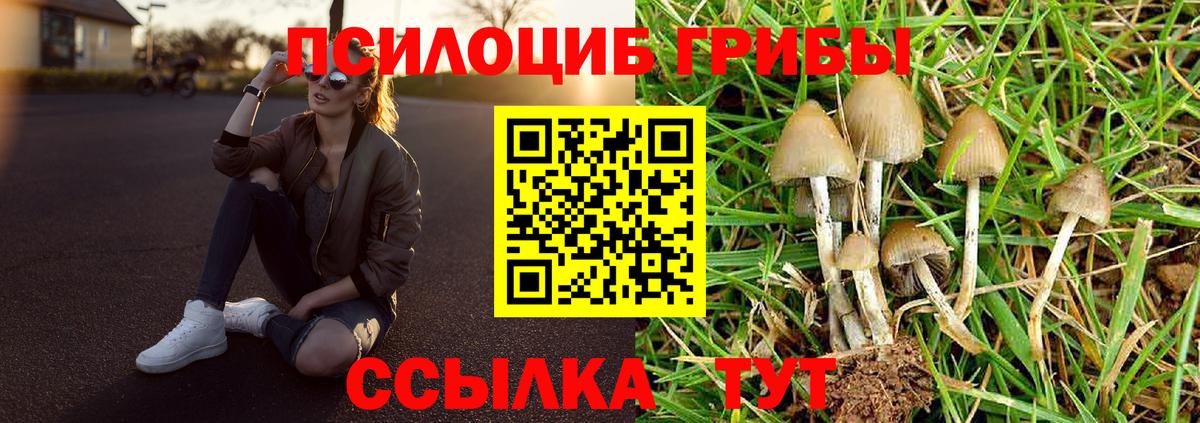 Галлюциногенные грибы Magic Shrooms Арзамас
