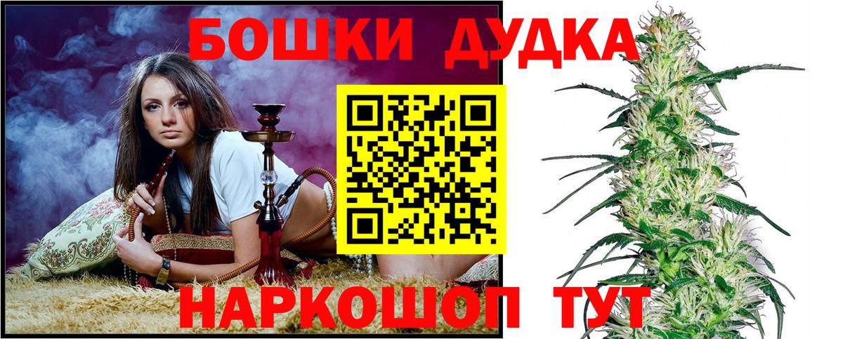 Бошки Шишки семена Арзамас